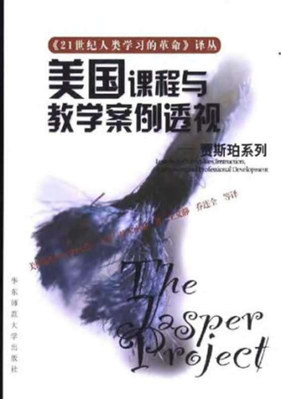 美国课程与教学案例透视——贾斯珀系列(美国温特贝尔特大学认知与技术小组)(华东师范大学出版社 2002)