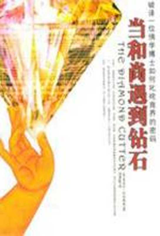 当和尚遇到钻石（（美）麦克尔·罗奇格西）（京华出版社 2005）