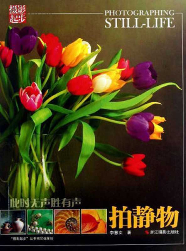 此时无声胜有声 拍静物 (摄影起步)（李慧文 [李慧文]）（浙江摄影出版社 2017）