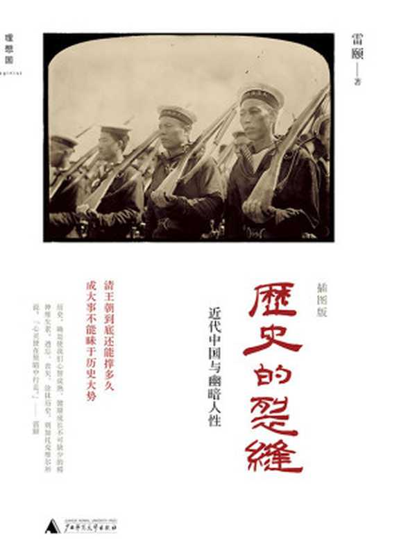历史的裂缝 近代中国与幽暗人性（雷颐）（广西师范大学出版社 2011）