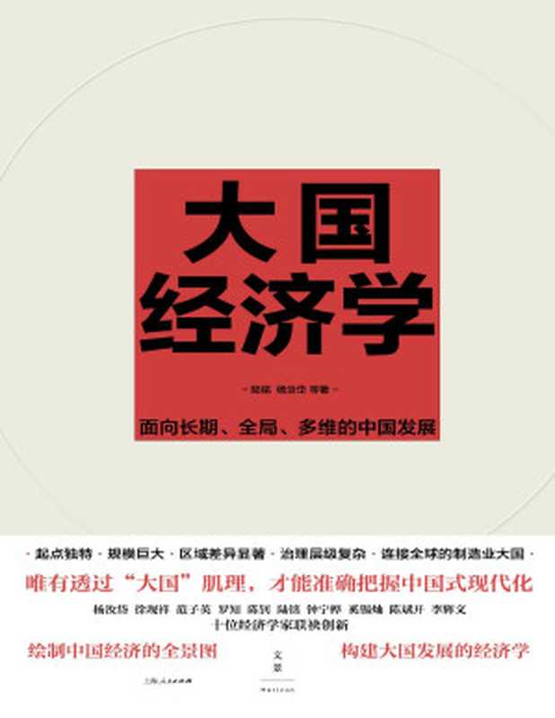 大国经济学 面向长期、全局、多维的中国发展(陆铭;杨汝岱 等)(上海人民出版社·世纪文景 2023)