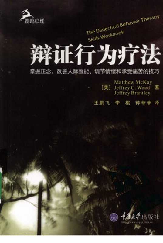 辩证行为疗法（（美）MATTHEW MCKAY JEFFREY C.WOOD JEFFREY BRANTLEY著）（重庆大学出版社）
