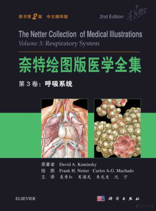 奈特绘图版医学全集——第3卷 呼吸系统（中文翻译版 原书第2版）（(美)卡明斯基(David A.Kaminsky) 主编;聂秀红等 译）（科学出版社 2018）