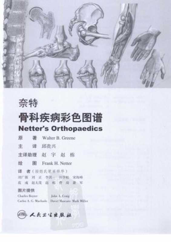 [83-奈特骨科疾病彩色图谱].邱贵兴.全彩版.pdf（Walter B.Greene）（人民卫生出版社 2010）