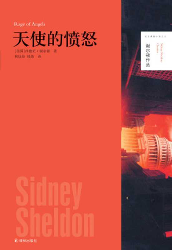 天使的愤怒（谢尔顿作品）（【美国】西德尼·谢尔顿）（2019）