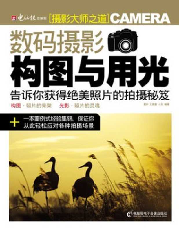 数码摄影构图与用光(墨叶 王鹿童 小灰)(电脑报电子音像出版社 2009)