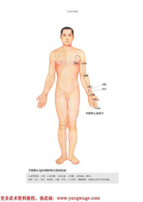 全身经络穴位养生图谱.pdf(全身经络穴位养生图谱.pdf)