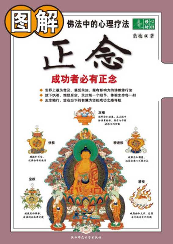 图解正念(蓝梅)(陕西师范大学出版社 2009)