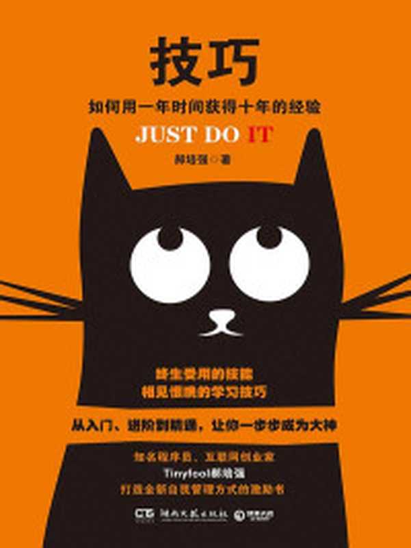 技巧 如何用一年时间获得十年的经验（终生受用的技能 相见恨晚的学习技巧 从入门、进阶到精通 让你一步步成为大神。）（郝培强 [郝培强]）（湖南文艺出版社 2016）