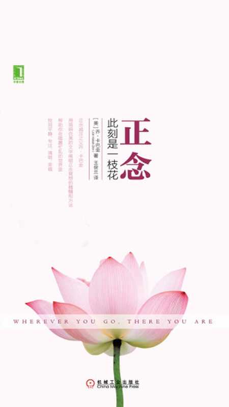 正念 此刻是一枝花(【美】乔·卡巴金)(机械工业出版社·华章图文 2019)
