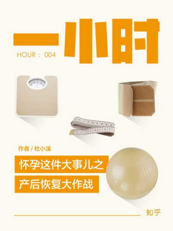 怀孕这件大事儿之产后恢复大作战 知乎杜小溪作品 (知乎「一小时」系列)(杜小溪 & 知乎)(2015)