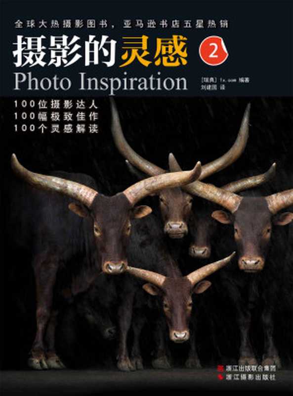 摄影的灵感2（1x.com）（浙江摄影出版社 2014）