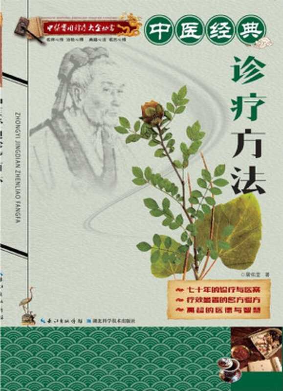 中医实用诊疗大全丛书 中医经典诊疗方法(屠佑堂)(长江出版传媒 湖北科学技术出版社 2015)