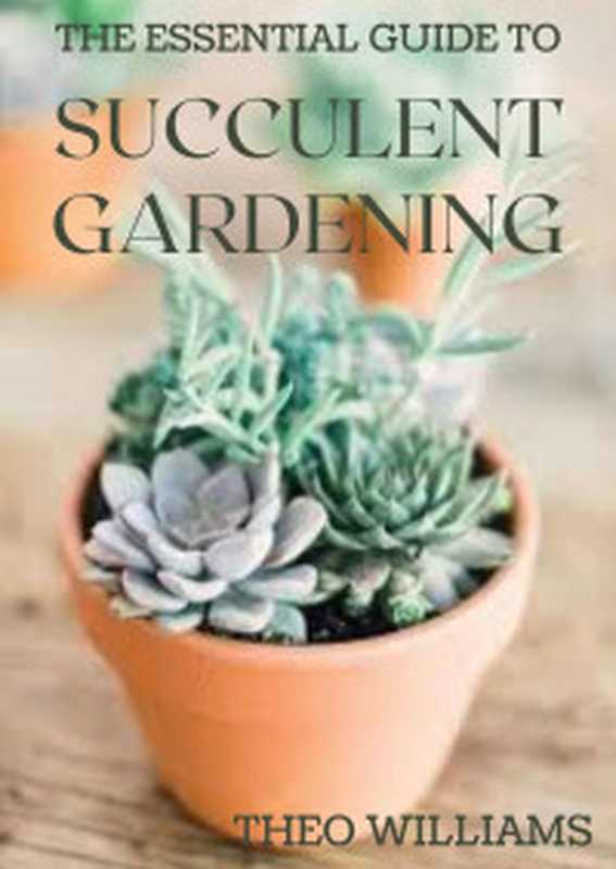 Programming In Lua（Roberto Ierusalimschy）（Roberto Ierusalimschy 2003）