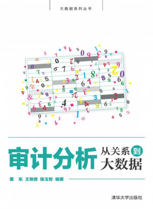 审计分析(董东)(清华大学出版社 2019)