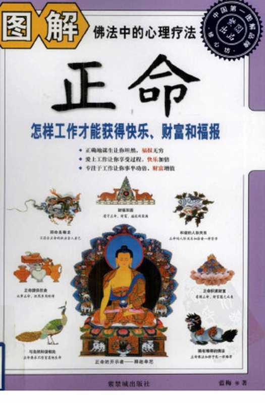 图解正命（蓝梅著）