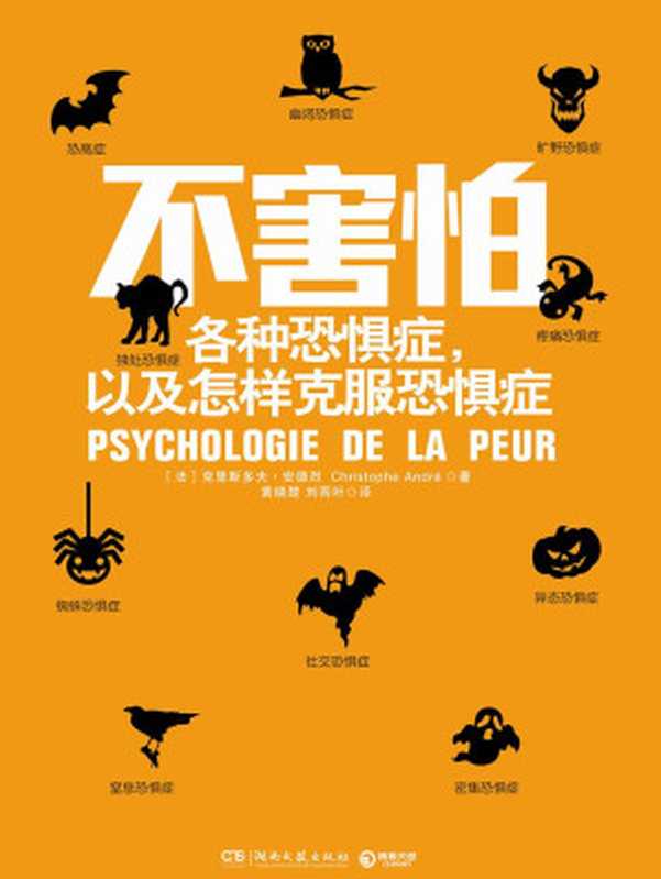 不害怕 各種恐懼症 以及怎樣克服恐懼症（[ 法] 克裡斯多夫·安德烈 [[ 法] 克裡斯多夫·安德烈]）（2013）