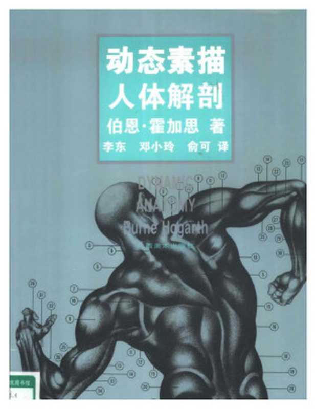动态素描·人体解剖（中文简体字版）（伯恩·霍加思）（广西美术出版社 2000）