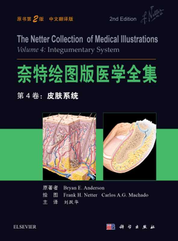 奈特绘图版医学全集 第4卷 皮肤系统(中文翻译版 原书第2版)(主译 刘跃华)(北京 科学出版社 2016)