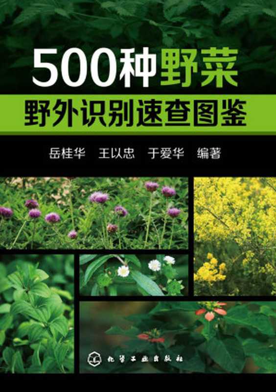 500种野菜野外识别速查图鉴(岳桂华(化学工业出版社))(化学工业出版社 2015)
