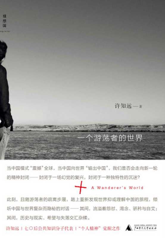 一个游荡者的世界（许知远 [许知远]）（2019）