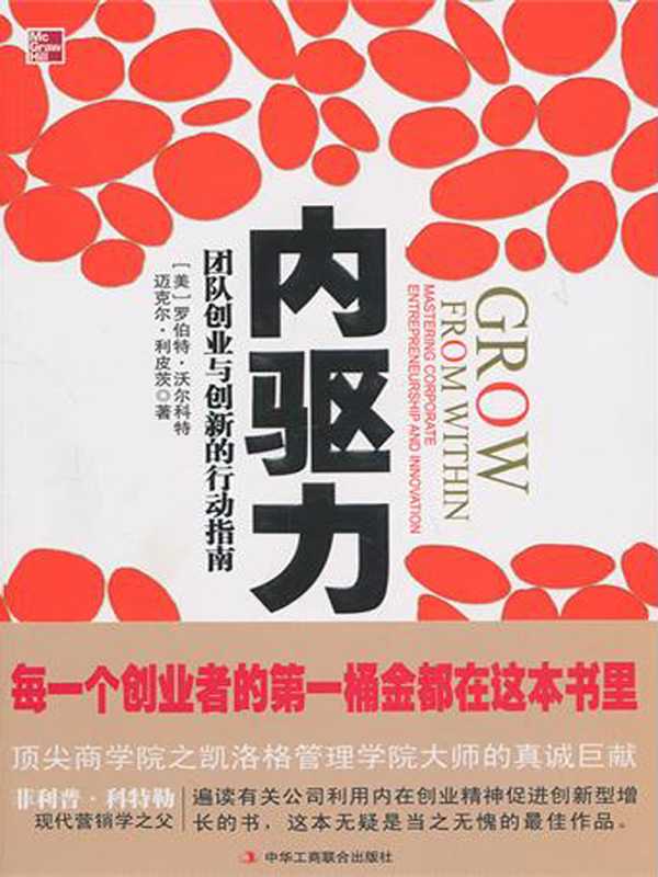 内驱力 团队创业与创新的行动指南-利皮茨 (2)(内驱力 团队创业与创新的行动指南-利皮茨 (2))