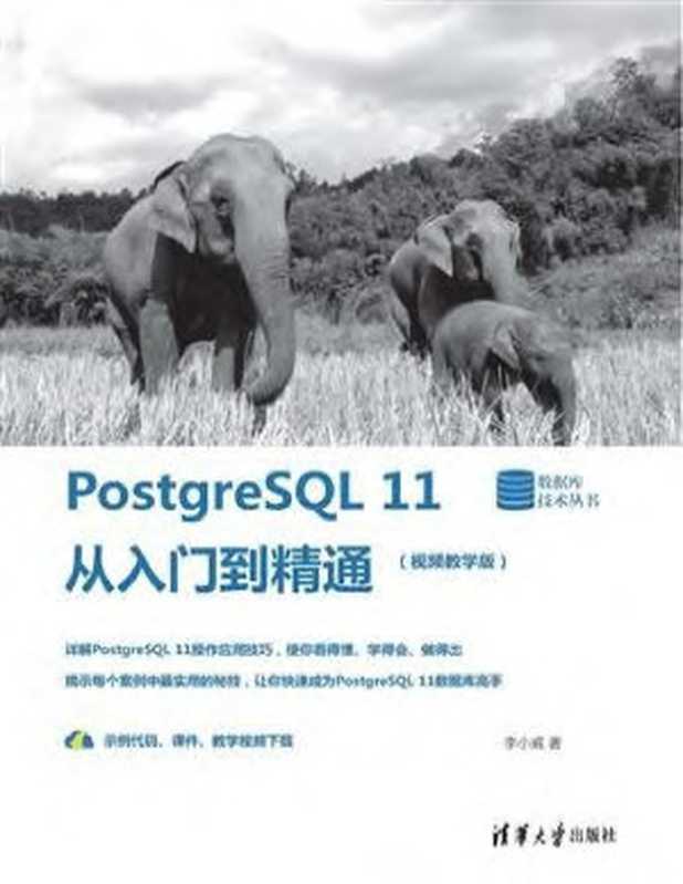 PostgreSQL 11从入门到精通(视频教学版)（李小威）