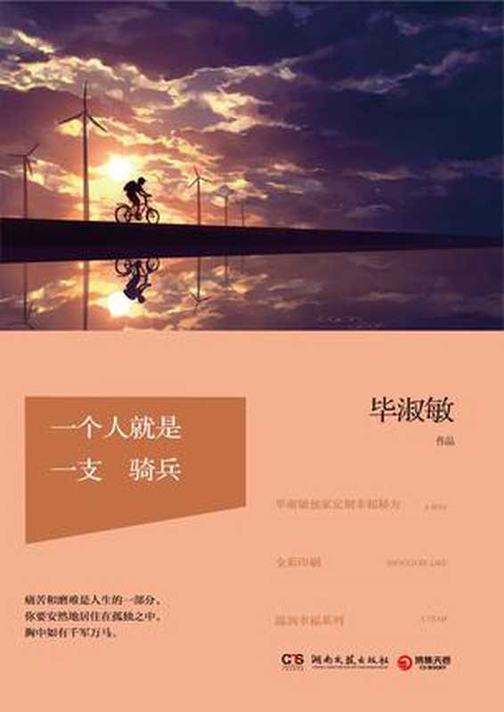 一个人就是一支骑兵（毕淑敏 [毕淑敏]）（湖南文艺出版社 2015）