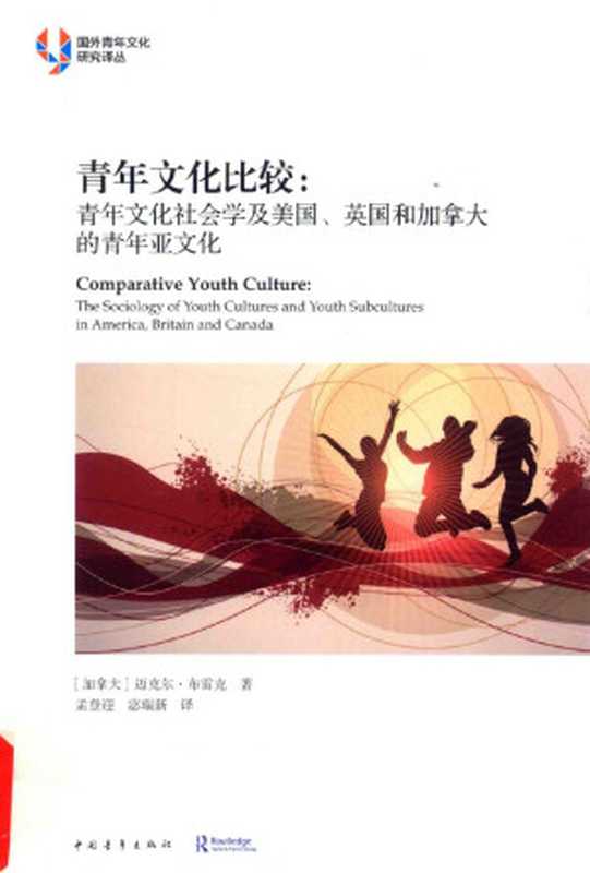 青年文化比较_青年文化社会学及美国、英国和加拿大的青年亚文化((加拿大)迈克尔·布雷克著;孟登迎宓瑞新译)