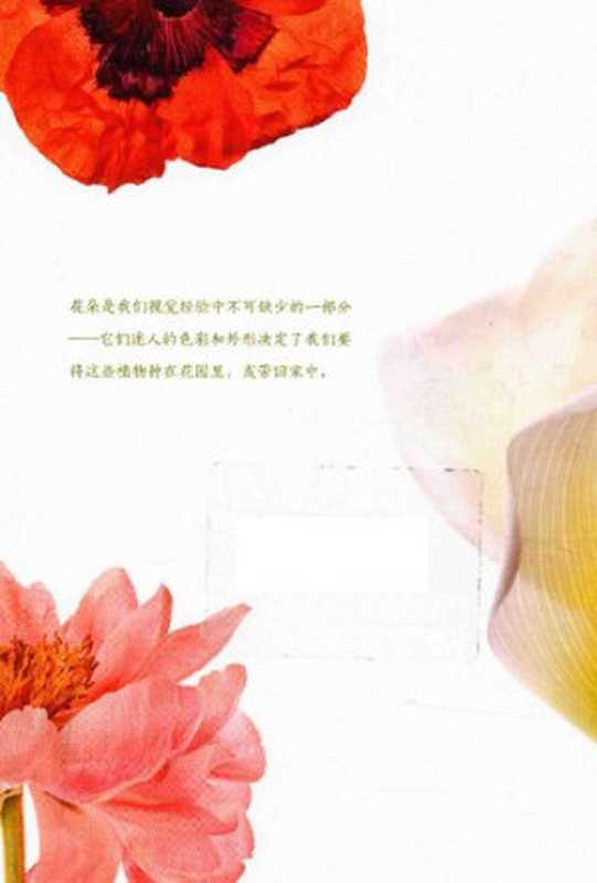 怎样观察一朵花  发现花朵的秘密生活（罗伯特·卢埃林; 特里·邓恩·切斯）（商务印书馆 2016）