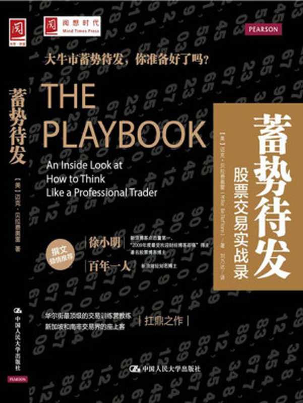蓄势待发股票交易实战录(【美】迈克·贝拉费奥雷)(2019)