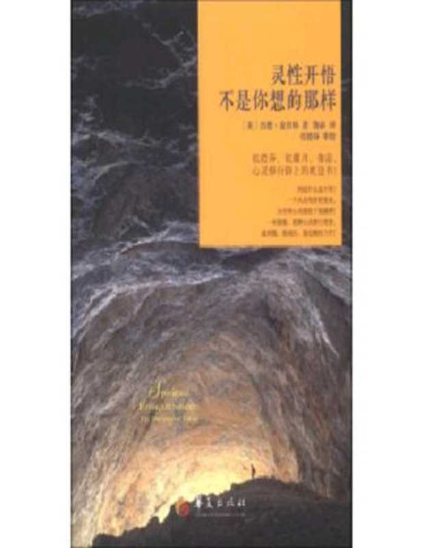 灵性开悟不是你想的那样（杰德·麦肯纳）