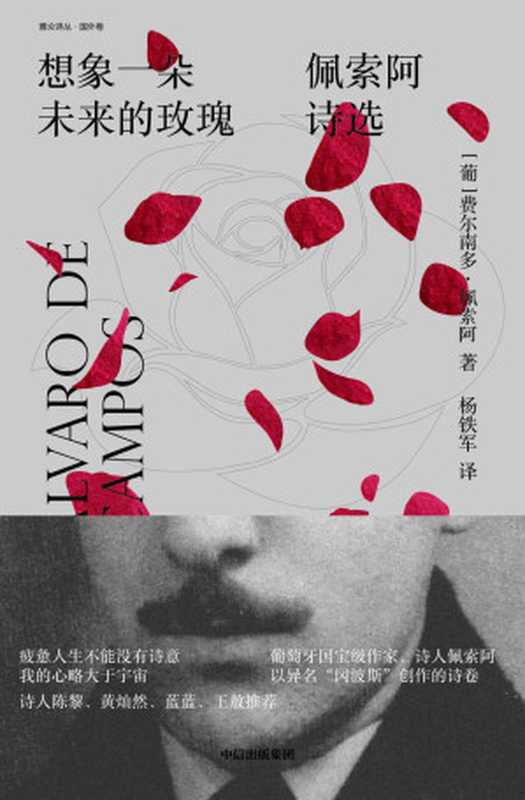 想象一朵未来的玫瑰佩索阿诗选(费尔南多·佩索阿)(2019)