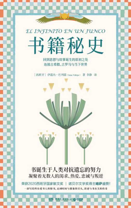 书籍秘史（【西班牙】伊莲内·巴列霍）（湖南文艺出版社·博集天卷 2022）