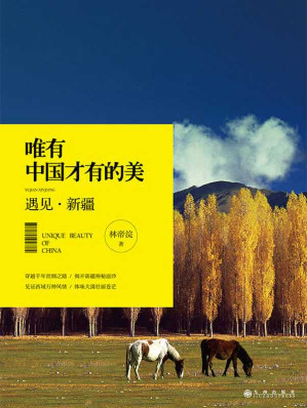 遇见·新疆 (唯有中国才有的美)(林帝浣)(九州出版社 2014)