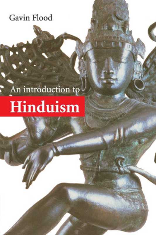 An Introduction to Hinduism（Gavin D. Flood）（Cambridge University Press 1996）
