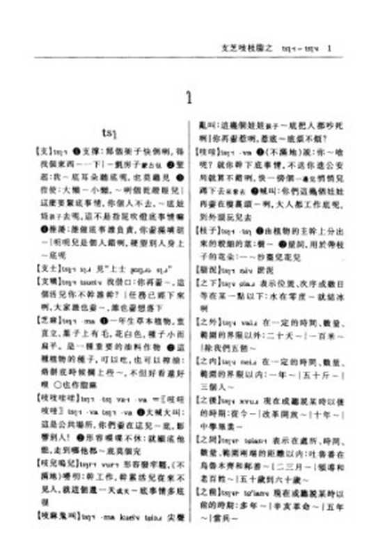 乌鲁木齐方言词典(周磊)(江苏教育出版社1995)