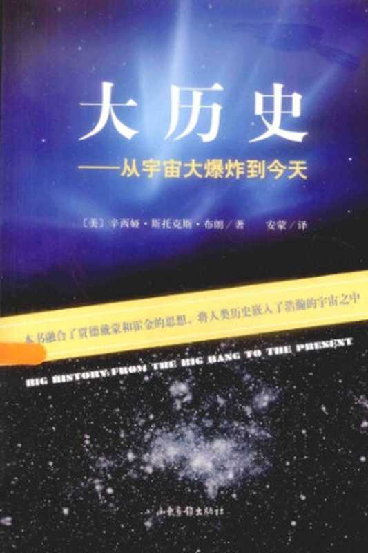 大历史 从宇宙大爆炸到今天（[美]辛西娅·斯托克斯·布朗; 安蒙(译)）（山东画报出版社 2014）