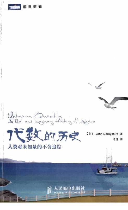 代数的历史 人类对未知量的不舍追踪（[美]德比希著）