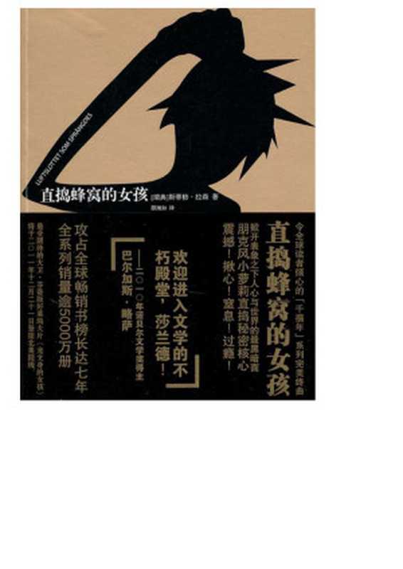 直捣蜂窝的女孩（斯蒂格·拉森(Stieg Larsson)）（人民文学出版社 2015）