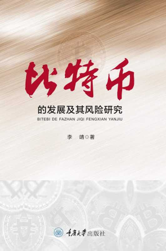 比特币的发展及其风险研究（李靖）（2020）