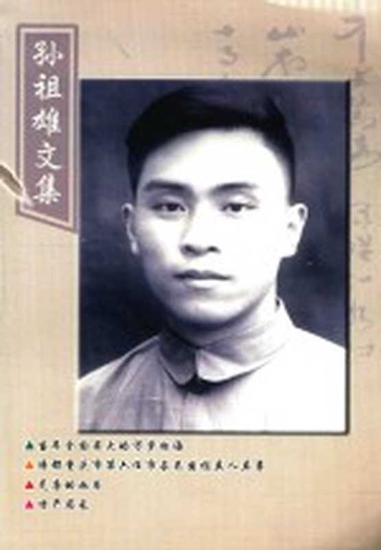 孙祖雄文集（孙祖雄）（宏兴印刷厂 2011）