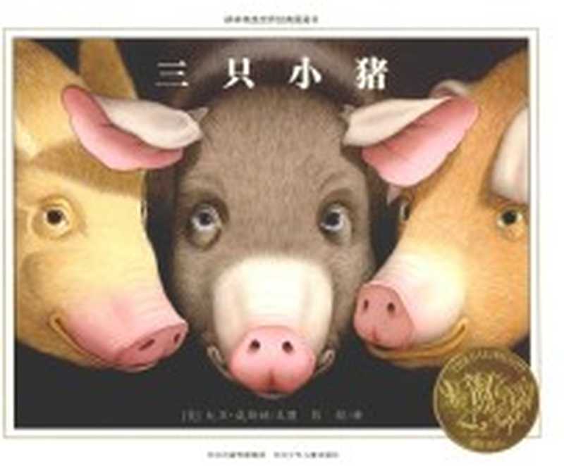 三只小猪((美)大卫·威斯纳文图 彭懿译)(石家庄 河北少年儿童出版社 2013)