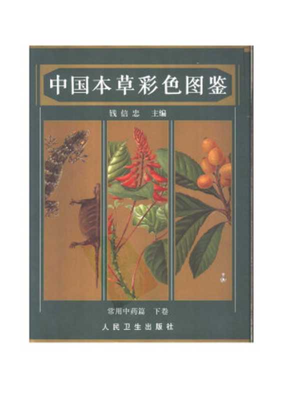 中国本草彩色图鉴 常用中药篇 下卷(钱信忠 编)(人民卫生出版社 1995)