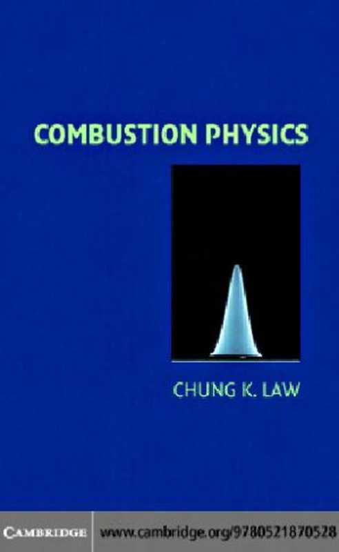 Combustion physics(COMBUSTIONE Boiler)(Cambridge 2006)