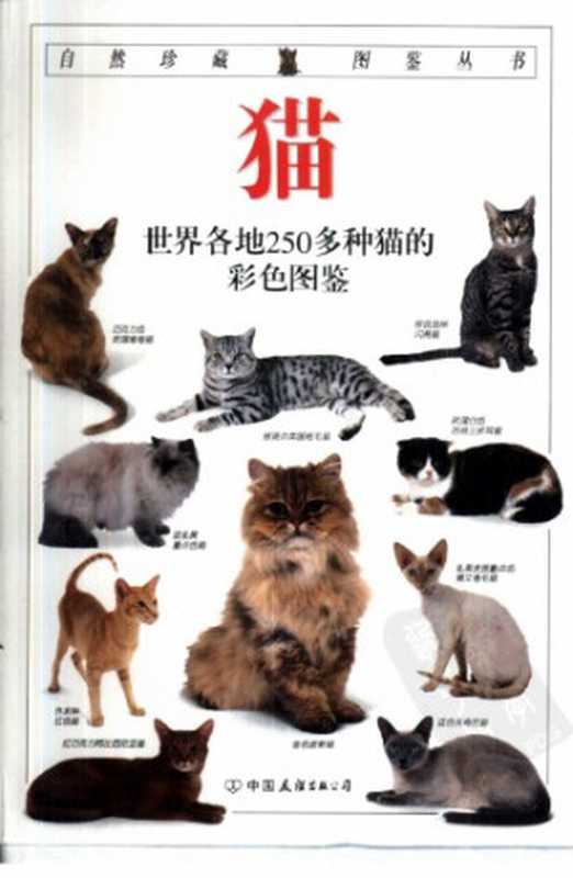 猫（〔英〕阿尔德顿著；猫头鹰出版社译）（中国友谊出版公司 1997）
