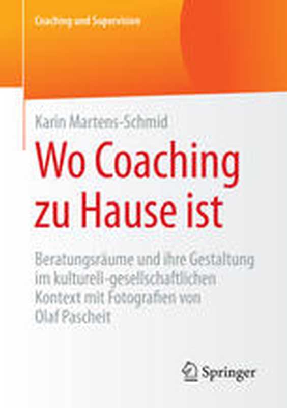 ErfolgreichpromovierenEinRatgebervonPromoviertenfürPromovierende(GermanEdition)（SteffenStockPatriciaSchneiderElisabethPeper...）（Springer2006）