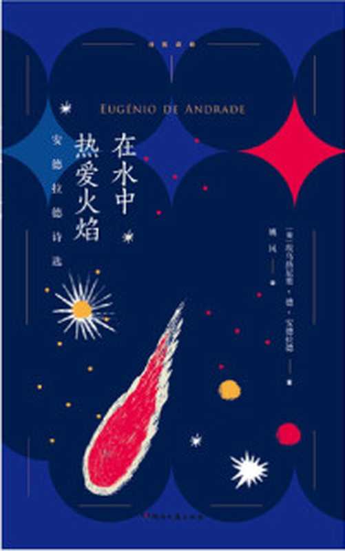 反诗歌 帕拉诗集（【智利】尼卡诺尔·帕拉）（江苏凤凰文艺出版社）