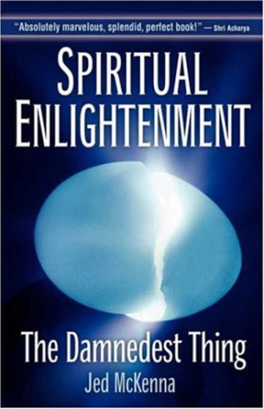 SpiritualEnlightenmentTheDamnedestThing（JedMcKenna）（WisefoolPress2002）