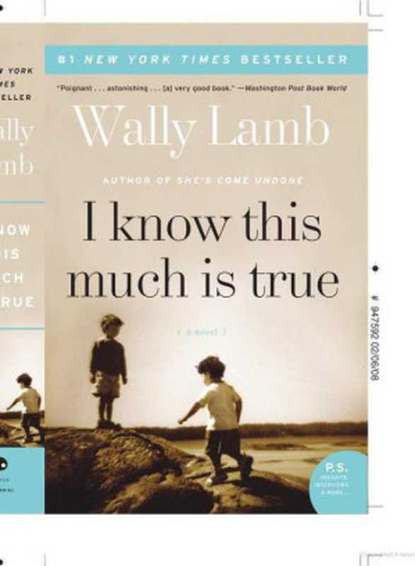 I Know This Much Is True（Wally Lamb）（Harper Collins 1999）
